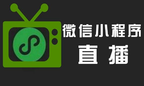 广州建立“直播带货全体上”产业联盟，微信小程序直播加入联盟（小程序的运营模式）