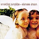 暹罗梦-粉碎南瓜(Siamese Dream - The Smashing PumpkinsJoLeKosovo)——欧美最佳吉他音色的十大摇滚专辑
