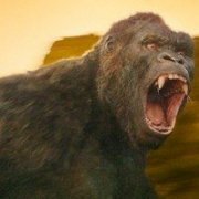 金刚金刚(King Kong (King Kong)VainillaKid)——欧美十大非CGI电影角色与坏蛋设计