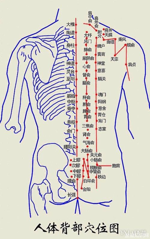 拍后背的功效与作用