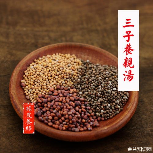 三子养亲汤的功效与作用