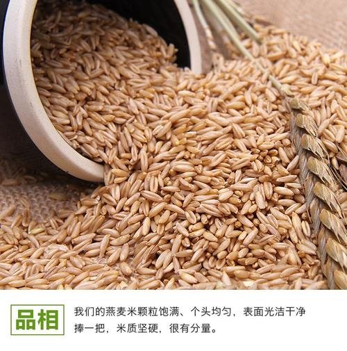 男人吃燕麦的功效与作用