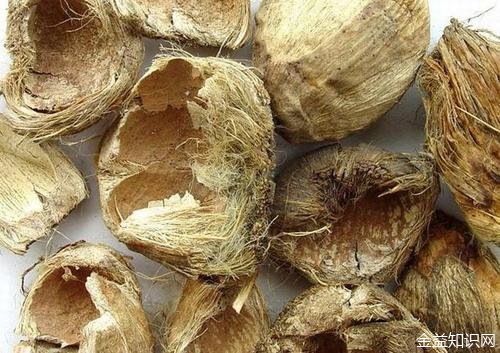 中药大腹皮的功效与作用