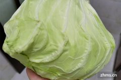 包菜需要放冰箱吗