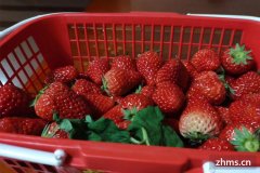 草莓的清洗方法