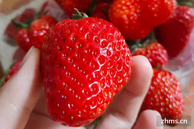 草莓常温保存方法有哪些
