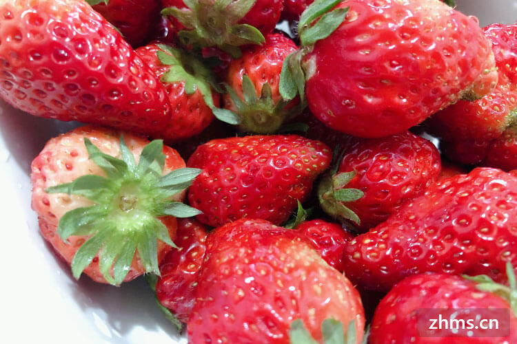 冰糖草莓保存方法
