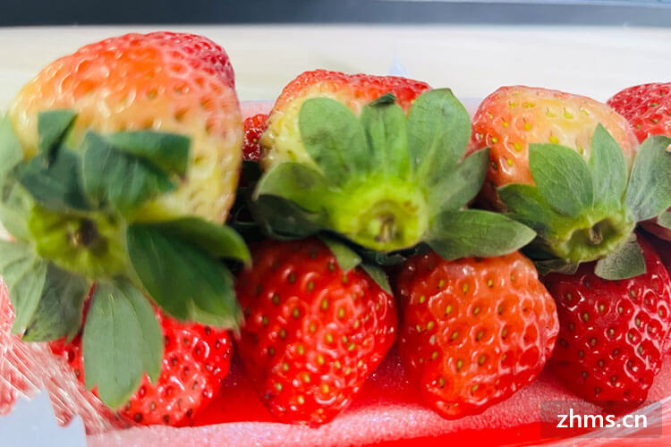 草莓保存方法以及温度