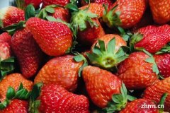 草莓的保存方法以及注意细节