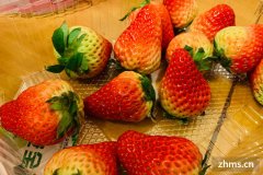 草莓的储存和保鲜方法是什么