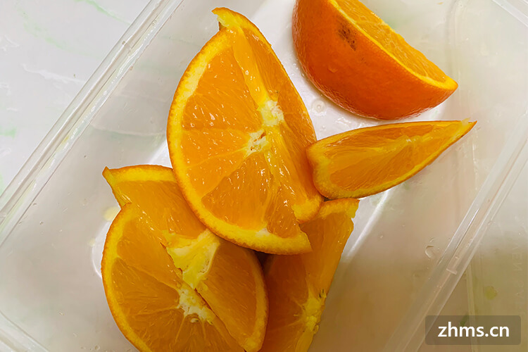 橙子有几种品种
