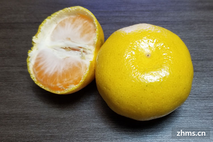 沃柑是柑橘吗