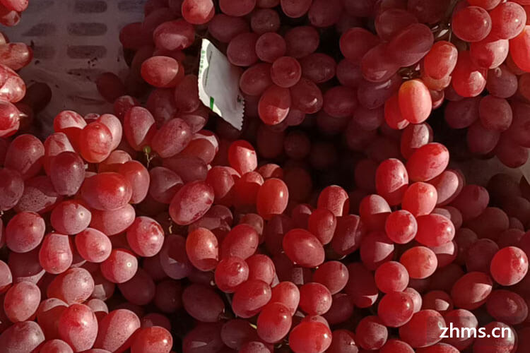红葡萄品种有哪些