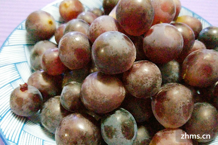 调色葡萄的主要品种