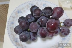 常见的葡萄品种有哪些