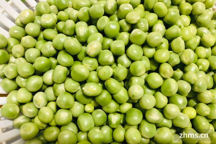 新鲜豌豆几月份上市