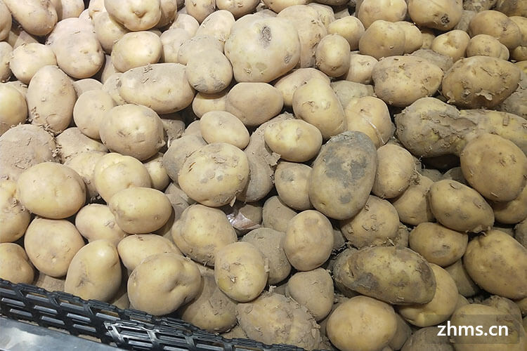 土豆不宜存放在什么地方