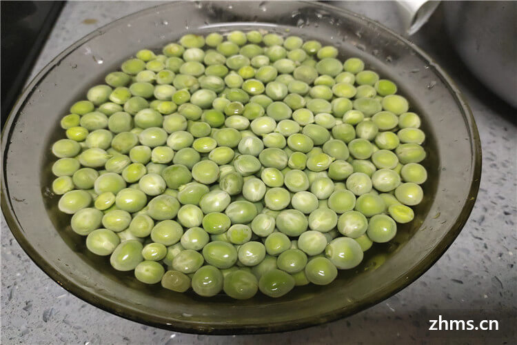 豌豆季节是几月份上市