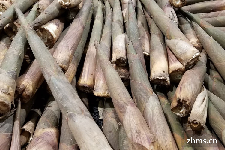 竹笋需要用水焯一下吗