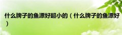 什么牌子的鱼漂好超小的（什么牌子的鱼漂好）