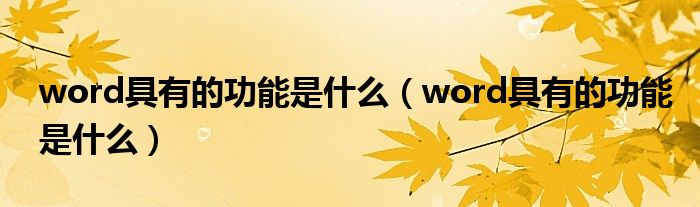 word具有的功能是什么（word具有的功能是什么）