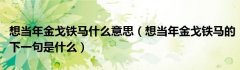 想当年金戈铁马什么意思（想当年金戈铁马的下一句是什么）
