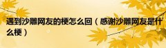 遇到沙雕网友的梗怎么回（感谢沙雕网友是什么梗）