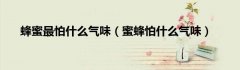 蜂蜜最怕什么气味（蜜蜂怕什么气味）