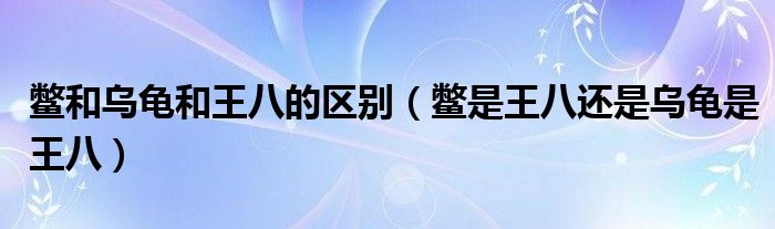 鳖和乌龟和王八的区别（鳖是王八还是乌龟是王八）