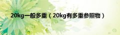 20kg一般多重（20kg有多重参照物）