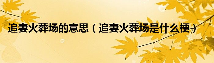 追妻火葬场的意思（追妻火葬场是什么梗）