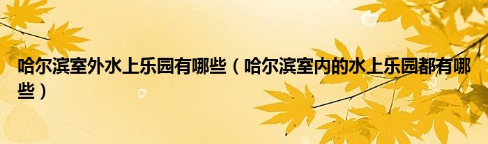 哈尔滨室外水上乐园有哪些（哈尔滨室内的水上乐园都有哪些）