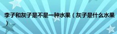 李子和灰子是不是一种水果（灰子是什么水果）