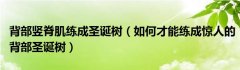 背部竖脊肌练成圣诞树（如何才能练成惊人的背部圣诞树）