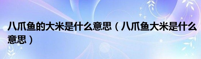 八爪鱼的大米是什么意思（八爪鱼大米是什么意思）