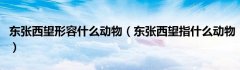 东张西望形容什么动物（东张西望指什么动物）