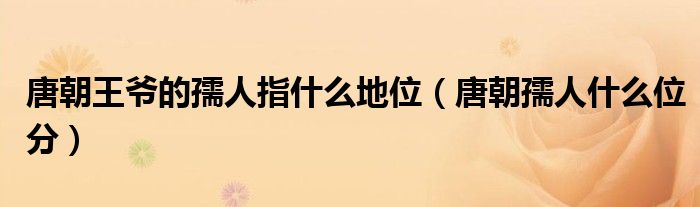 唐朝王爷的孺人指什么地位（唐朝孺人什么位分）