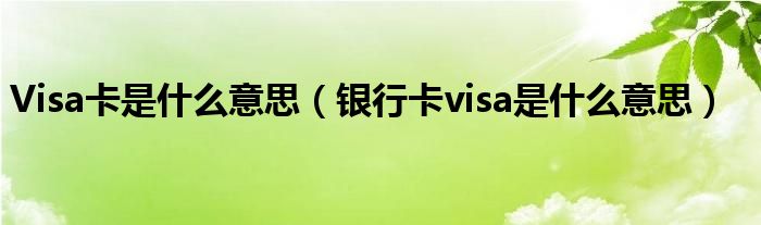 Visa卡是什么意思（银行卡visa是什么意思）