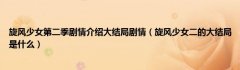 旋风少女第二季剧情介绍大结局剧情（旋风少女二的大结局是什么）