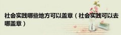 社会实践哪些地方可以盖章（社会实践可以去哪盖章）