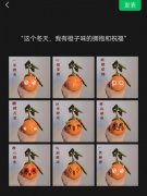 关于橙子的吉祥物名字(关于橙子的吉祥语)