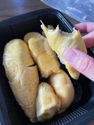 榴莲能否带上飞机(榴莲可以带上飞机吗)