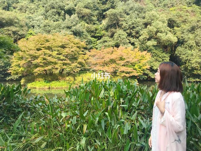 一公里走路需要几分钟
