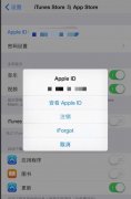 苹果刷机可以把id刷掉吗(苹果刷机可以把ID清除吗)