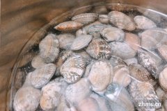 吃海鲜配什么菜比较综合(吃海鲜搭配)