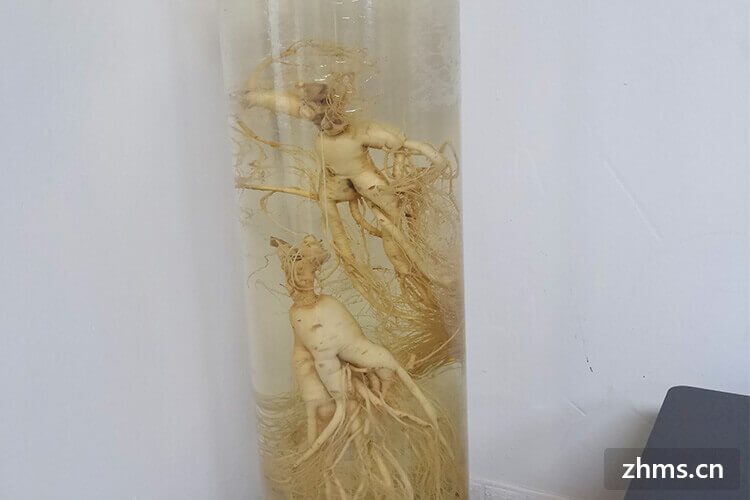 白酒可以冰镇后放冰箱吗(白酒冰镇后口感如何)