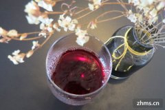 红酒怎么喝口感更好(红酒怎么喝才好喝兑饮料比例)