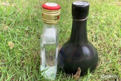 好喝的白酒推荐(好喝的白酒有哪几种)