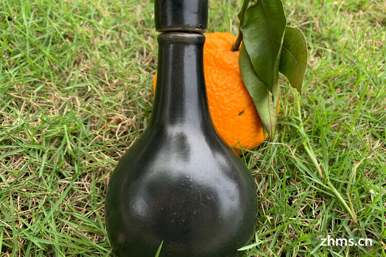 想存酒怎么密封(存酒方法)