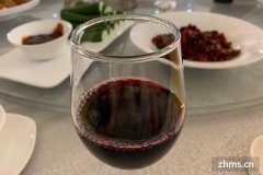 自制葡萄酒发酵多久才捞皮(自制葡萄酒发酵要多久)